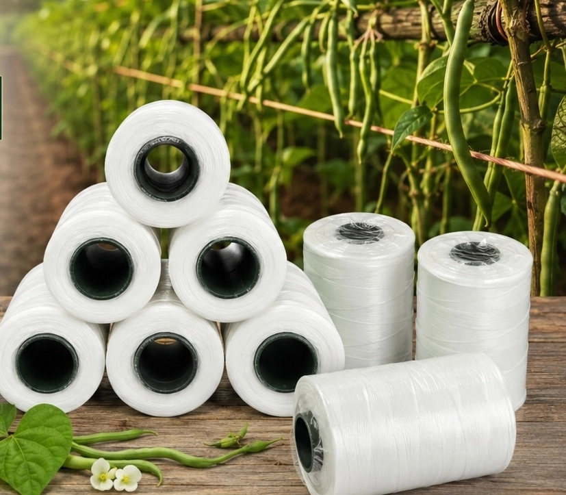 Beans  Yarn