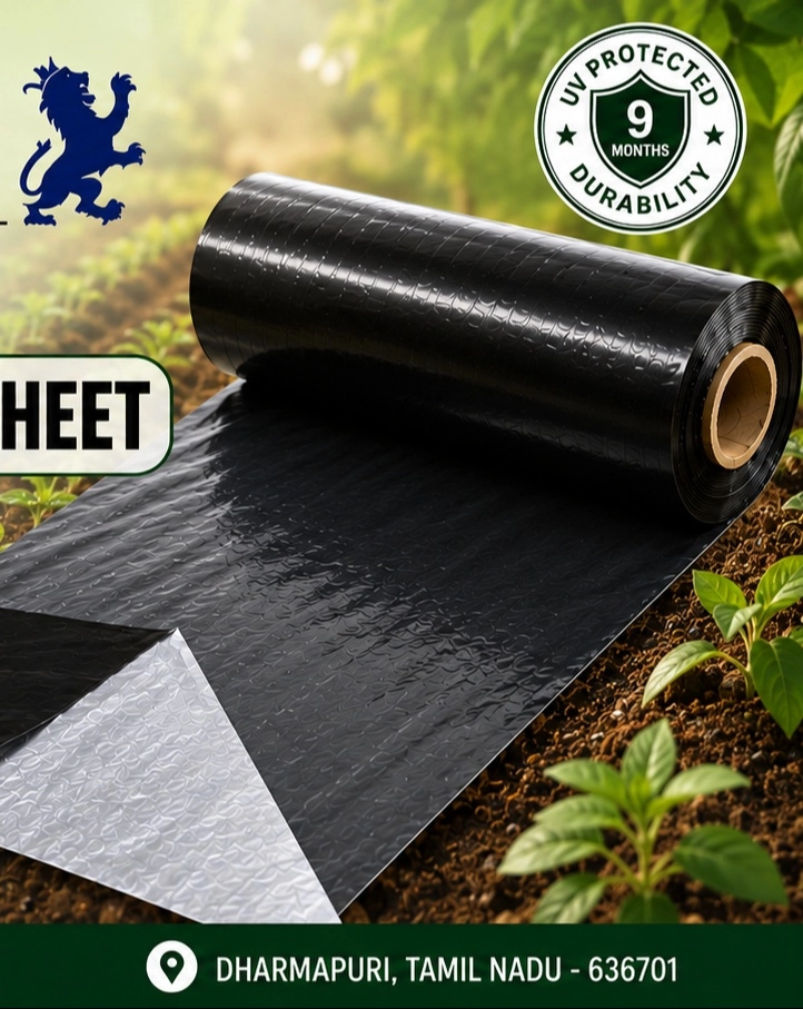 30 Micron Plain Mulching Sheet – 4 Feet | 9 Months - DKJ SARADU MANDI