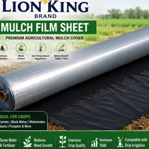 30 Micron Plain Mulching Sheet – 4 Feet | 9 Months - Gallery Image