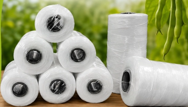 Beans Yarn