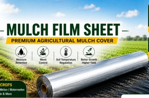 mulching sheet 30 micron - Gallery Image