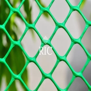 HEXA - Image 2