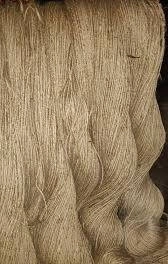 Jute -சணல்